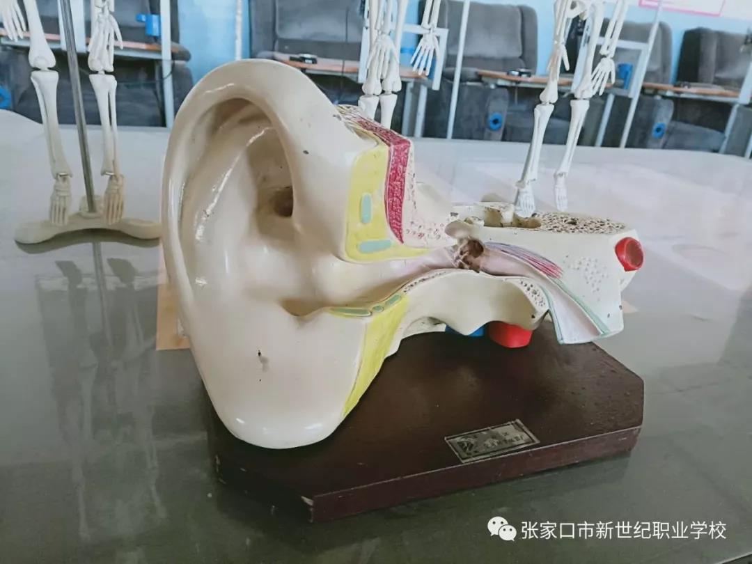 护理实训室6.jpg