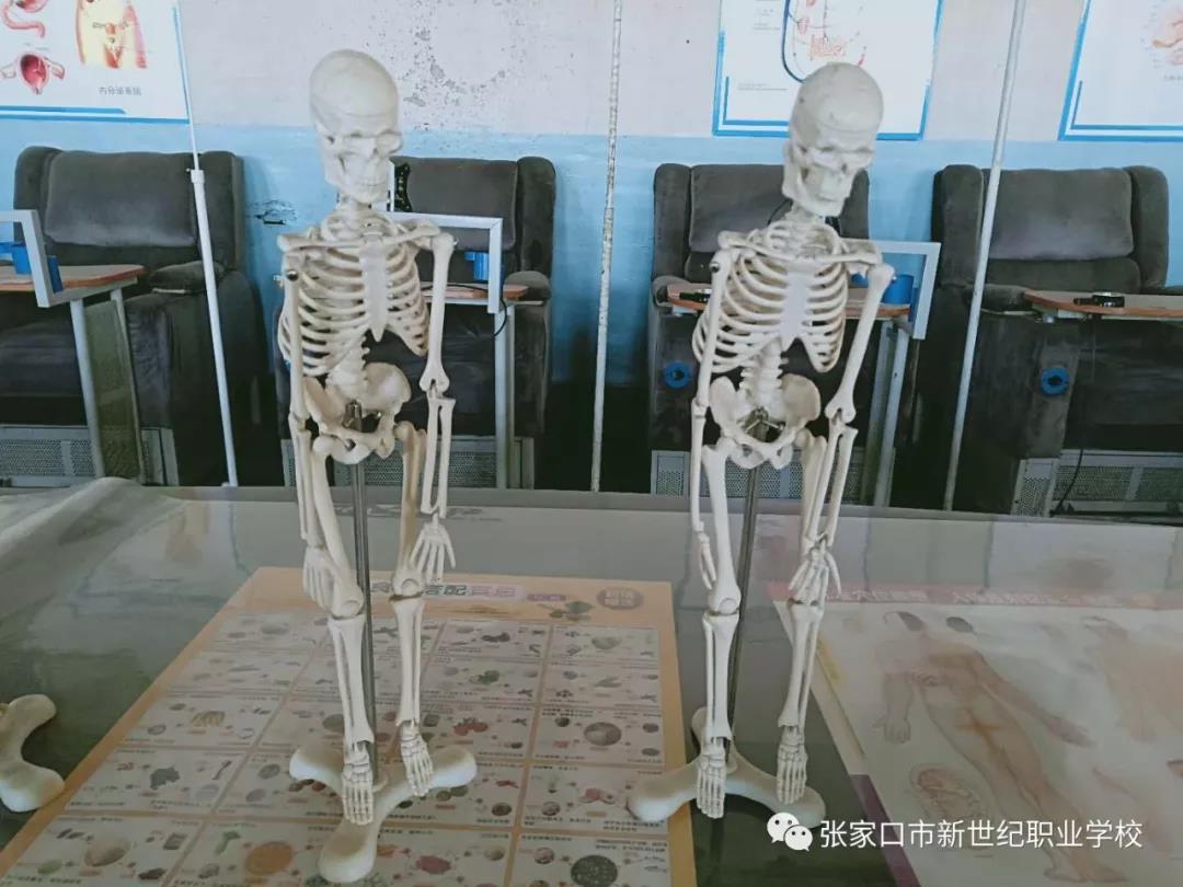 护理实训室7.jpg