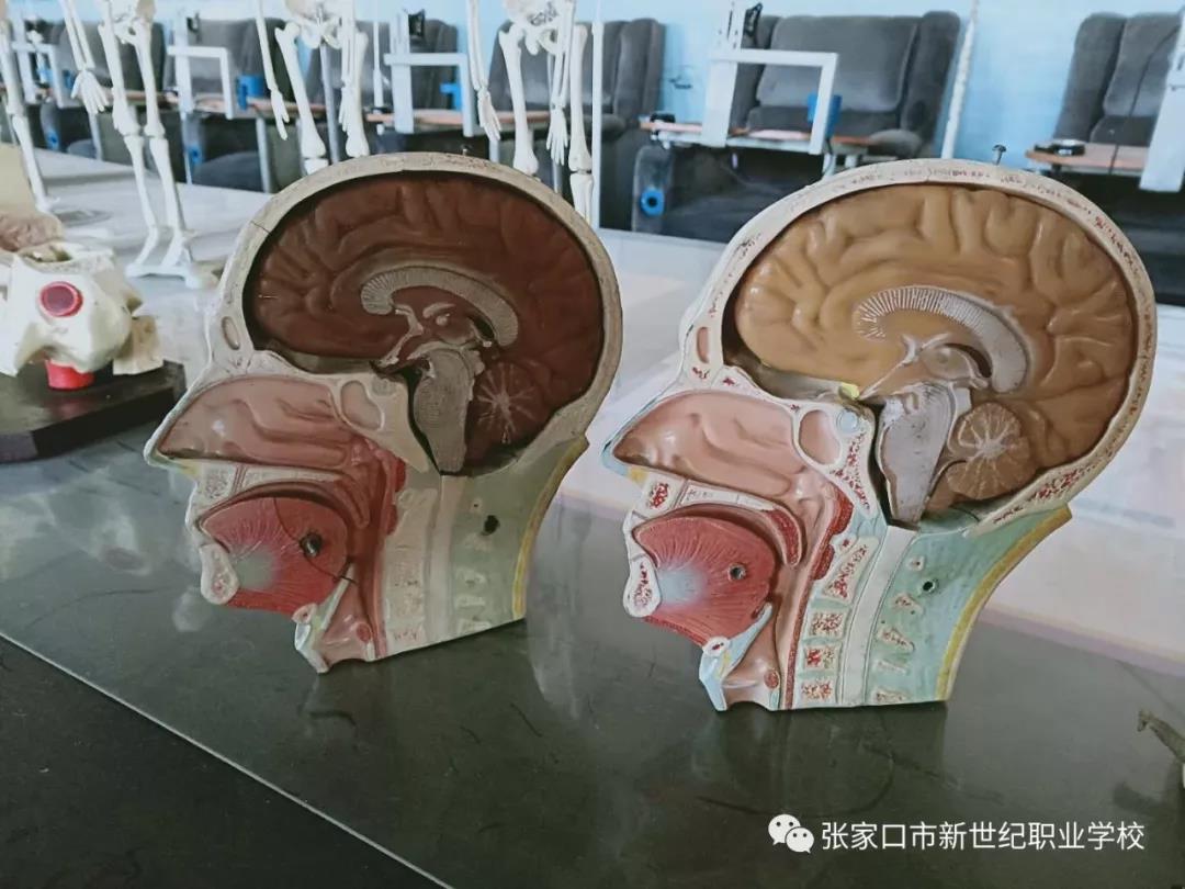 护理实训室8.jpg