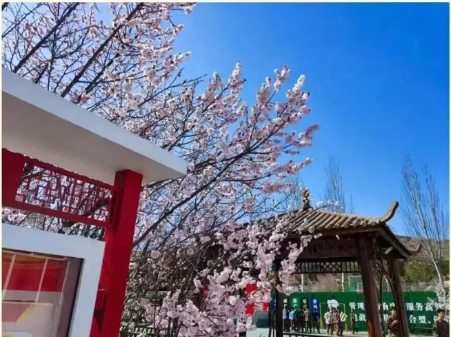 这二十三年